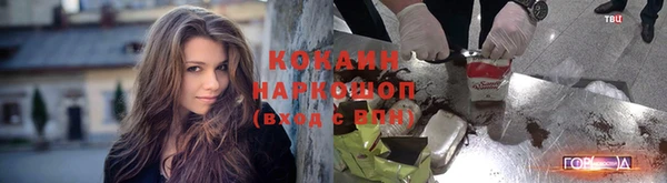 ешки Алексин