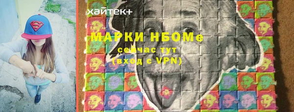ешки Алексин