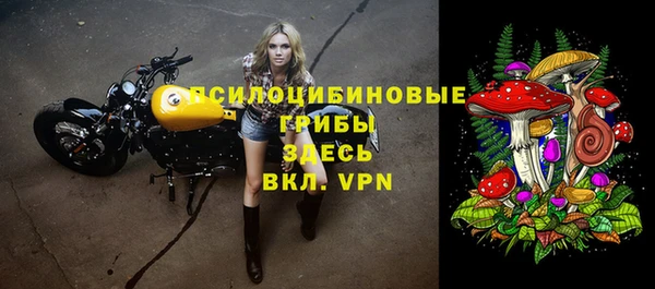 ешки Алексин