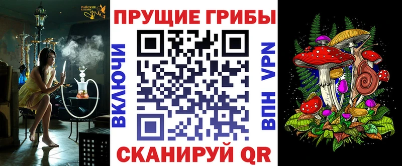MEGA зеркало  Чебаркуль  Галлюциногенные грибы Psilocybe 