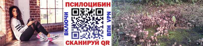 Галлюциногенные грибы MAGIC MUSHROOMS Чебаркуль